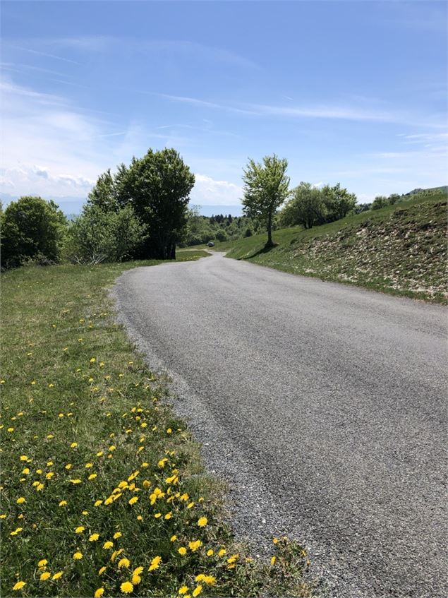 Sur Lyand - Laurent Madelon - CCBS