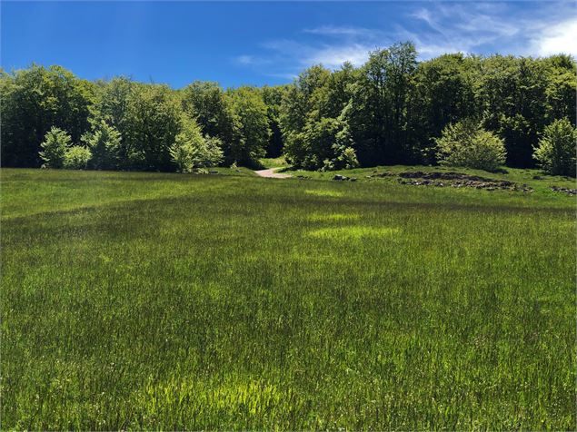 Chemin de la Fully aux Plans d'Hotonnes - Laurent Madelon - CCBS