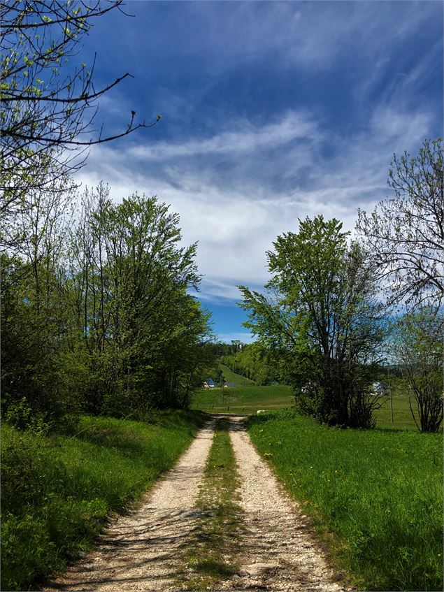Chemin de la Fully aux Plans d'Hotonnes - Laurent Madelon - CCBS