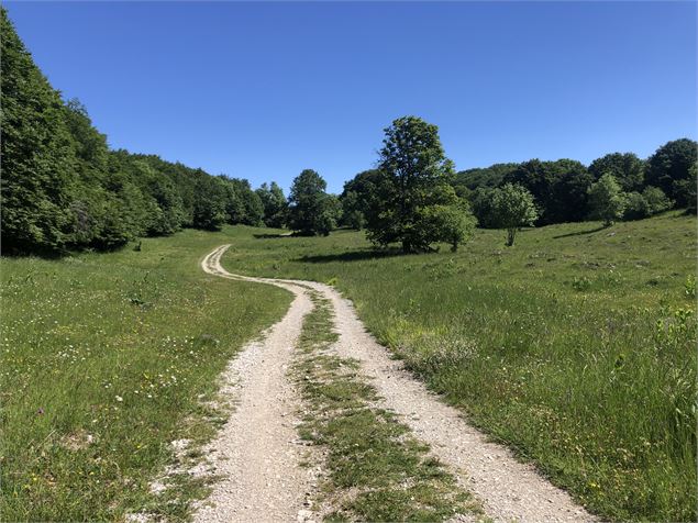 Chemin en direction du Crêt du Nu - Laurent Madelon - CCBS