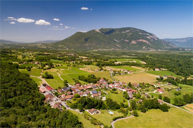 Circuit de randonnée pédestre : Lac et vignobles_Pollieu - Laurent Madelon - CCBS
