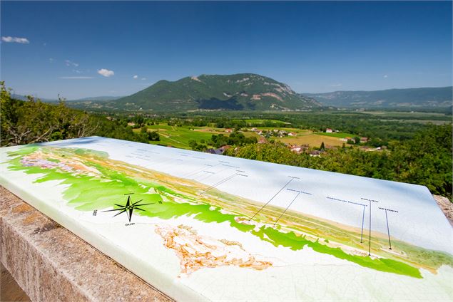 Circuit de randonnée pédestre : Lac et vignobles_Pollieu - Laurent Madelon - CCBS