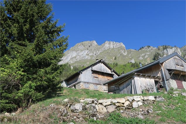 Chalets devant le Mont Billiat - Victor Demilly / Vallée d'Aulps Tourisme