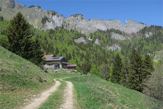 Randonnée en alpage - Victor Demilly / Vallée d'Aulps Tourisme