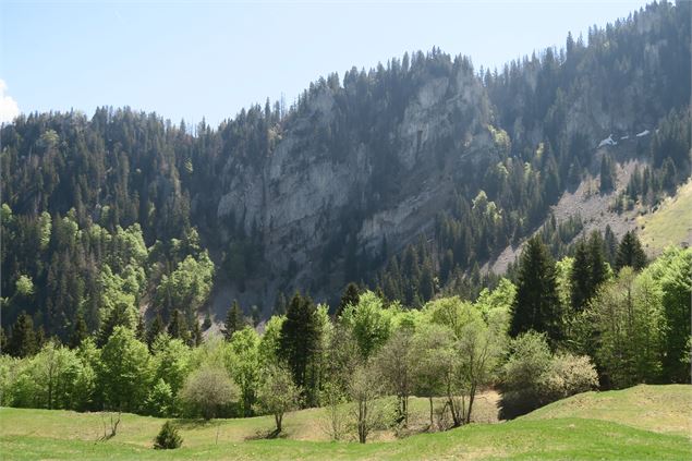 Superbes falaises - Victor Demilly / Vallée d'Aulps Tourisme
