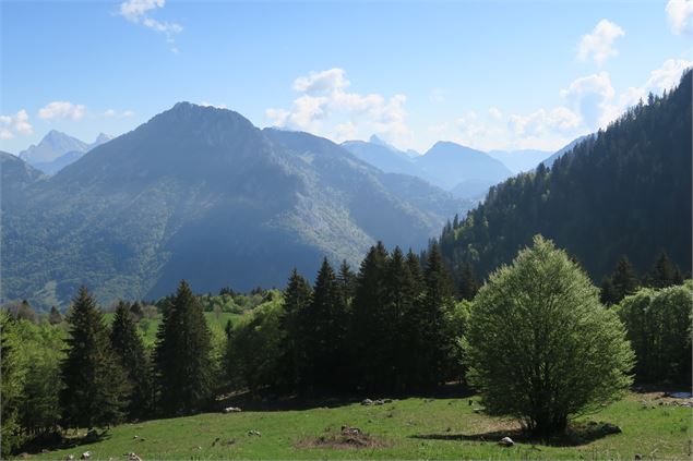 Randonnée pédestre : Col de la Buchille_La Baume - Victor Demilly / Vallée d'Aulps Tourisme