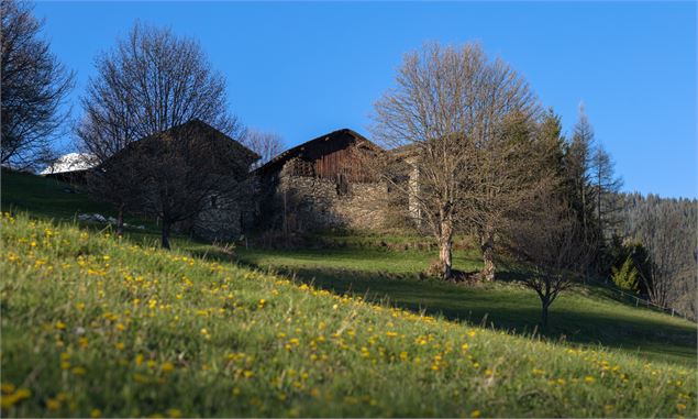 Vue village des Monts sur la boucle de Plansoie - Bozel - Nadia Chevassu