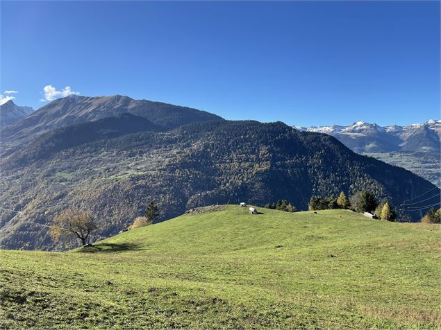 Vue depuis la pierre à cupules - Feissons sur Salins - Elisabeth Gayard