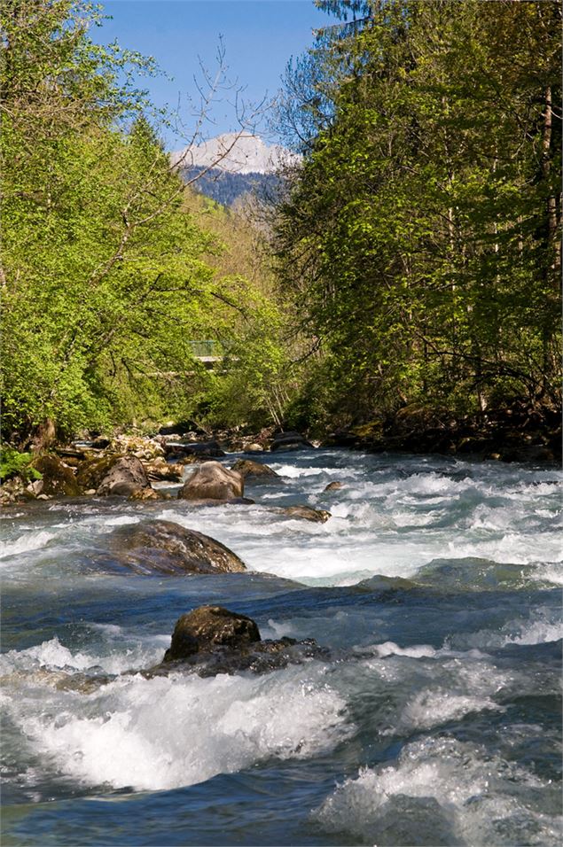 Les bords de Dranse - Yvan Tisseyre/OT Vallée d'Aulps