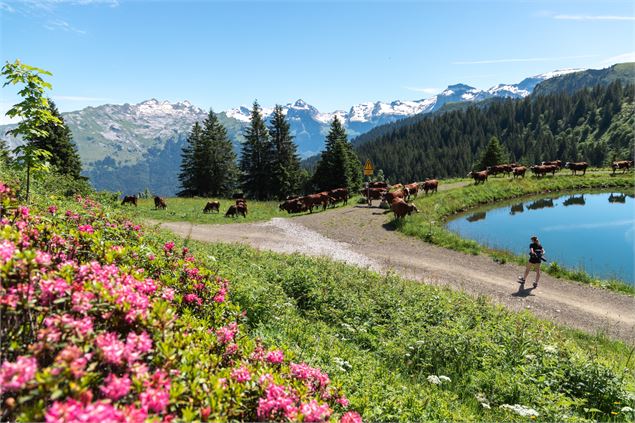 Lac - OT Samoëns - Mathilda Manzi