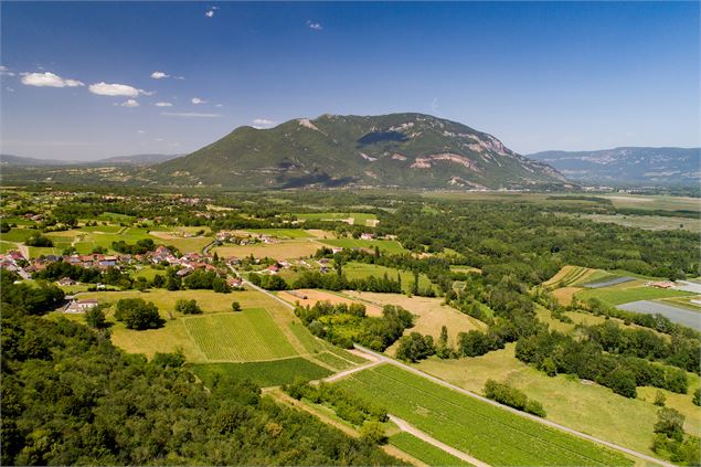 Circuit vélo : Vignobles du Bugey_Massignieu-de-Rives - Laurent Madelon - CCBS