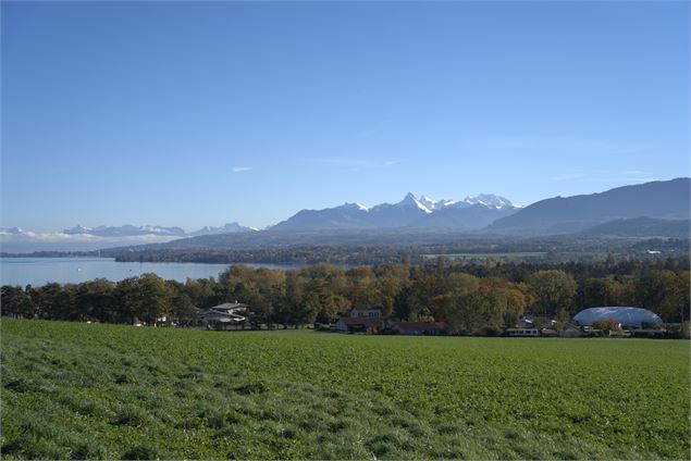 Vue panoramique - Destination Léman - C.Haas
