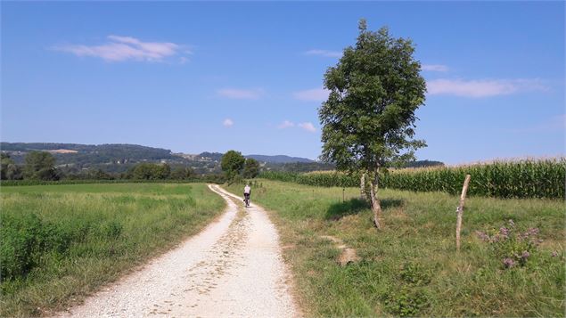 Boucle des étangs de Crosagny - ML Frescurat