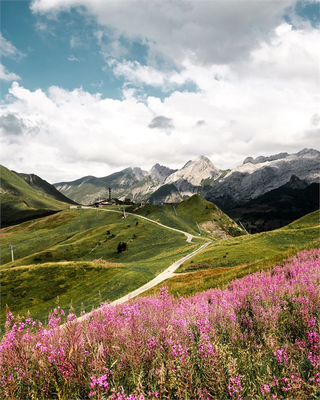 Sentier des Bartavelles_Le Grand-Bornand - M. Dubost - Le Grand-Bornand Tourisme