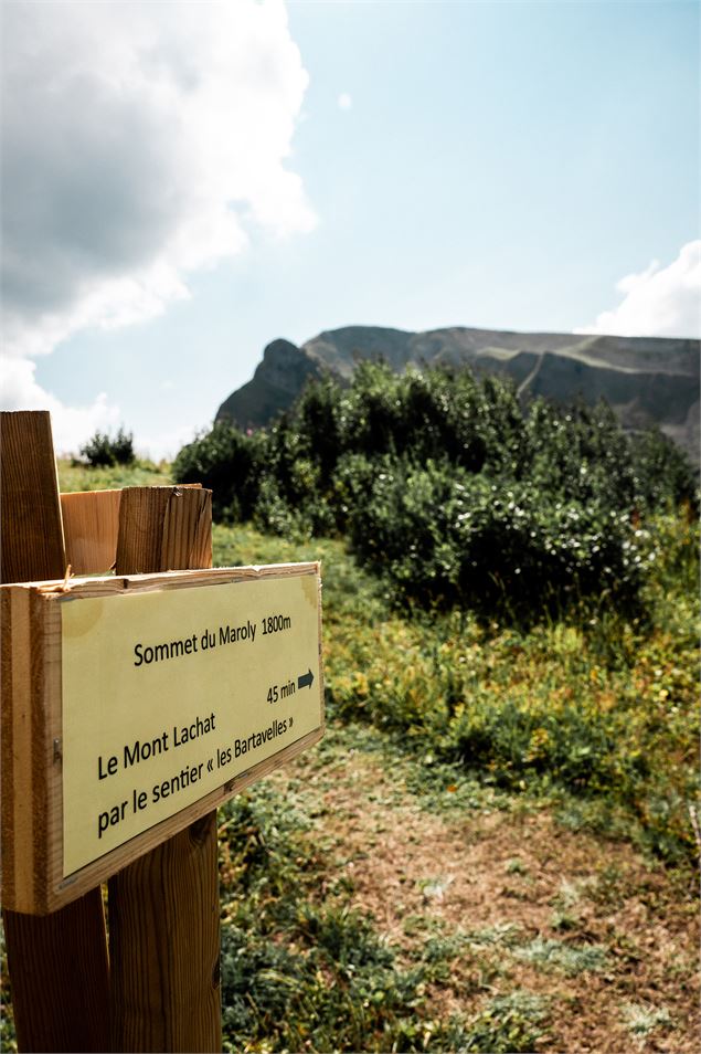 Sentier des Bartavelles_Le Grand-Bornand - M. Dubost - Le Grand-Bornand Tourisme