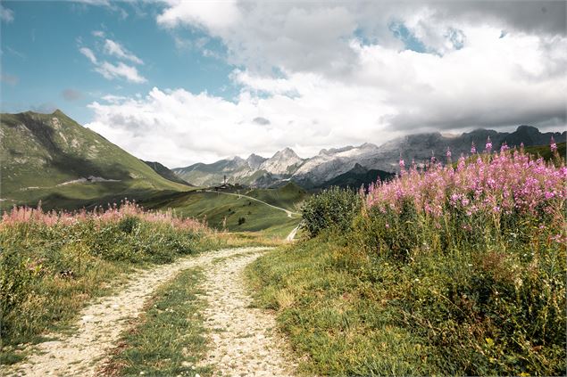 Sentier des Bartavelles_Le Grand-Bornand - M. Dubost - Le Grand-Bornand Tourisme