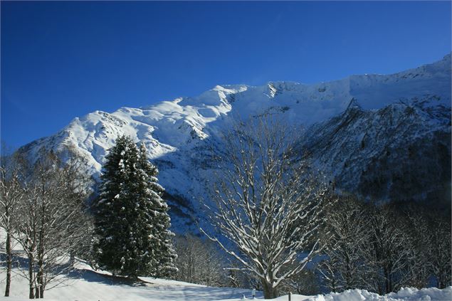 Rando raquettes Montsapey - OT Porte de Maurienne