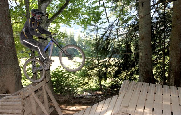 DEscente VTT Pleney Morzine - OT Morzine