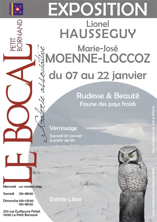 Exposition Hausseguy-Moenne Loccoz - Nathalie Chéchin