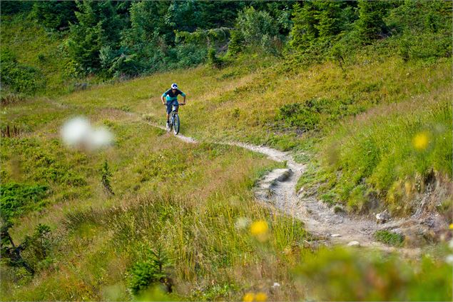 Bike Park Châtel - Sylvain Cochard