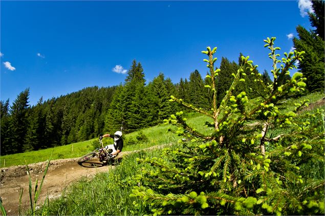 Bike Park Châtel - Sylvain Cochard