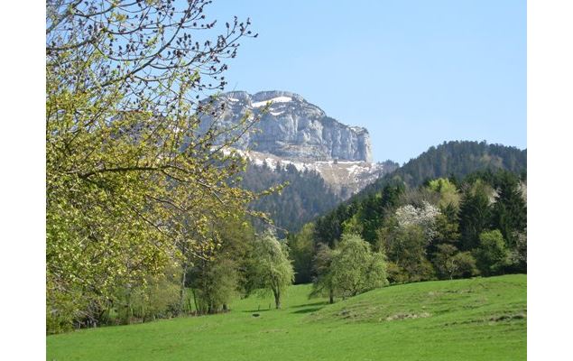 Montagne du Parmelan - OTIPF - Lutz Julien