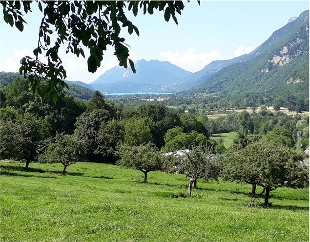 cabane bois Sources du lac d'Annecy - Sources du lac d'Annecy