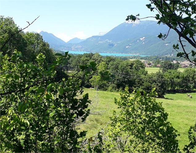 cabane bois Sources du lac d'Annecy - Sources du lac d'Annecy Tourisme