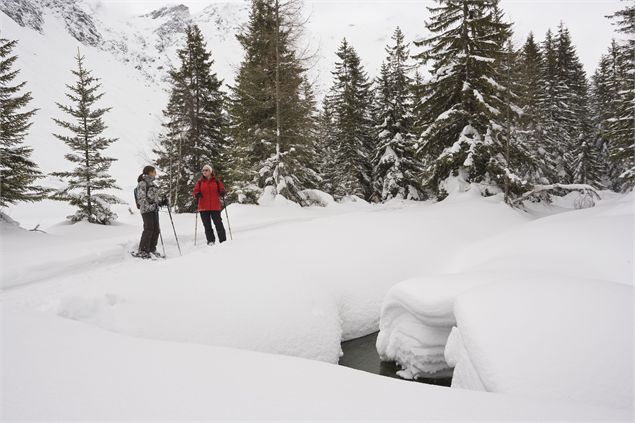 Sentiers piéton hiver de Champagny-le-Haut - C.Tatin