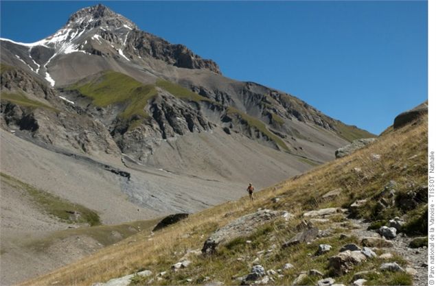 Tour de la Grande Casse. Vallon de la Leisse. Au fond : la Grande Motte. - © Parc national de la Van